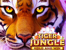 Tiger Jungle